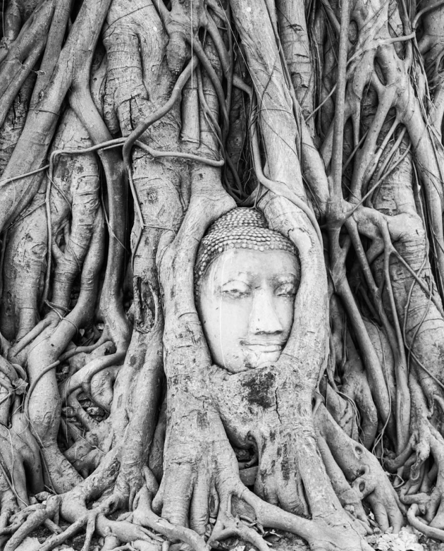 Wat Phra Mahathat in Ayutthaya