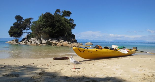 Kanoën  door het Abel Tasman National Park 