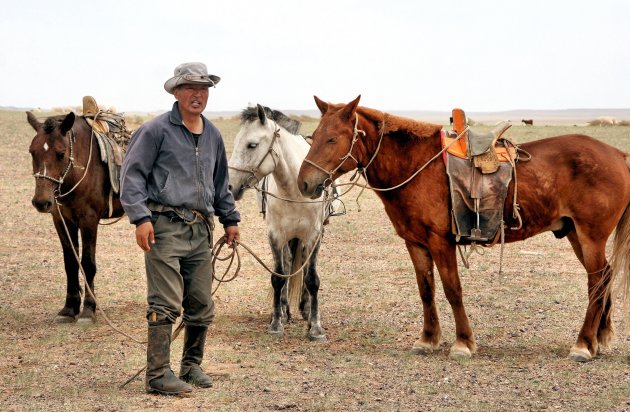 paarden en tochten