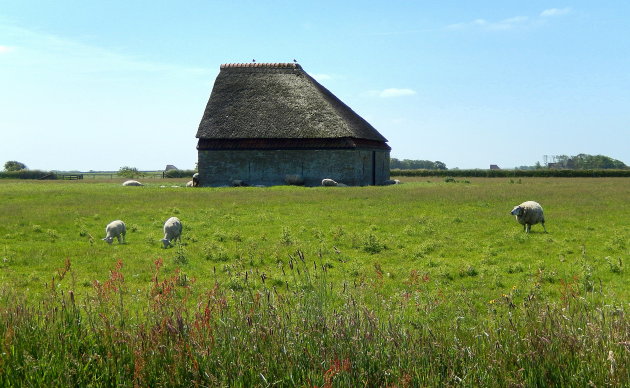 Hollands landschap !