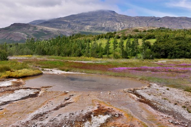 Geysir