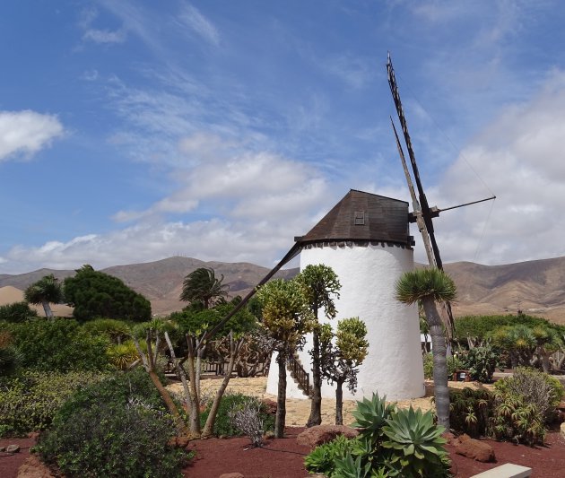 De molens van Fuerteventura