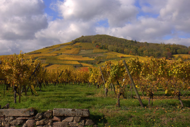 gouden bergen