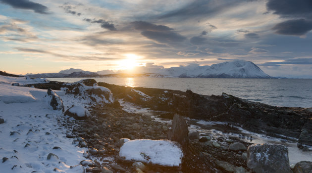 Tot rust komen bij Green Gold of Norway