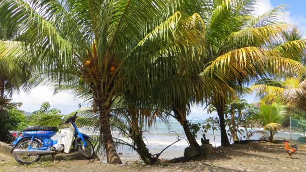 Just a random day in Marigot Dominica