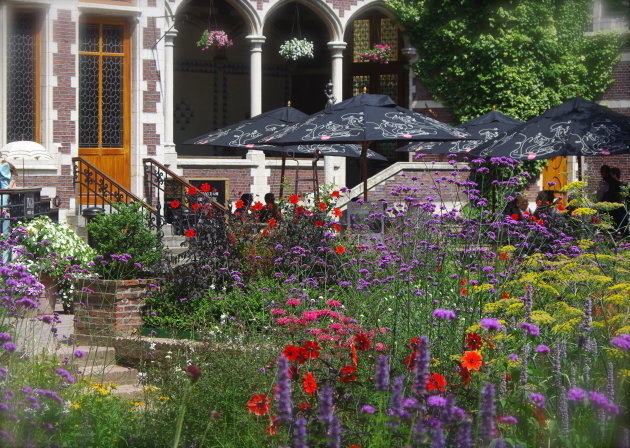 Bloemen in de zoo 