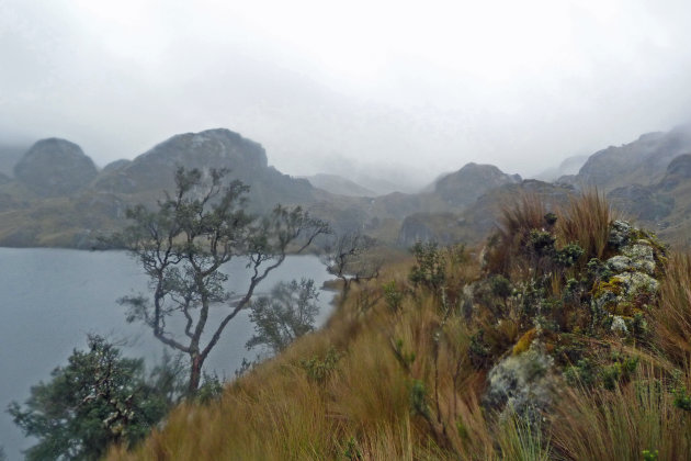   Las Cajas Parque Nacional