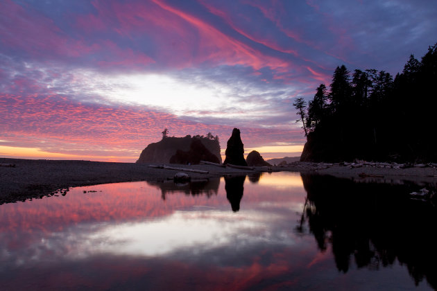 Ruby beach in het Olympic N.P.