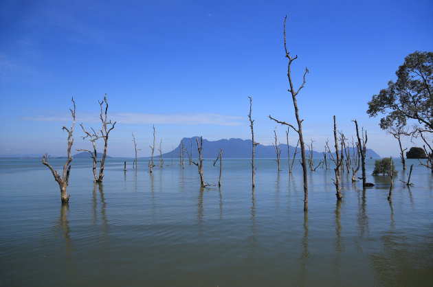 Wandelen in Bako NP