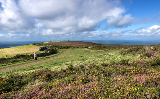 Exmoor in bloei