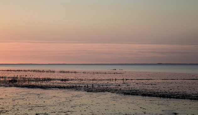 Waddenlicht 