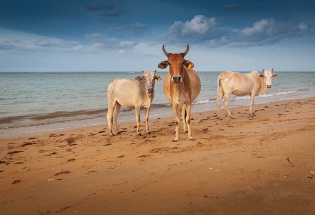 De laatste op het strand