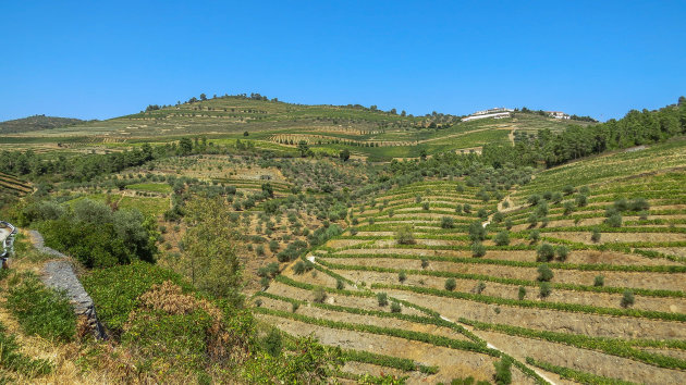 Rondrit door de Douro-vallei