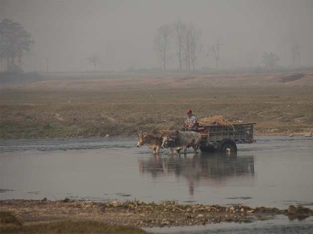 Ossenwagen steekt rivier over