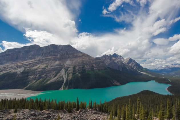 Lake Peyto