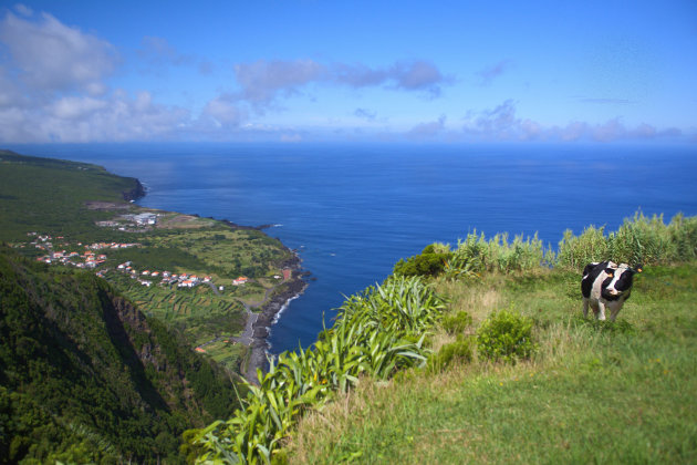 Fietsen en wandelen op Faial 