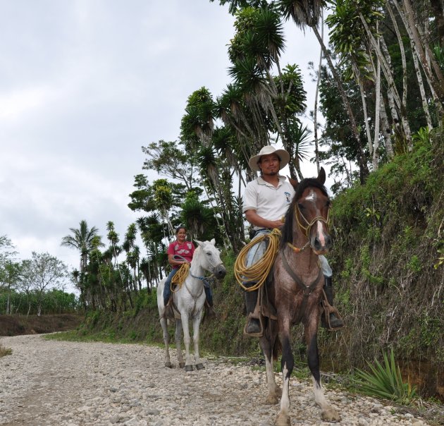 De cowboys uit San Vito ,