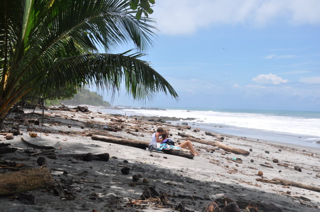 De natuur en zijn stranden,