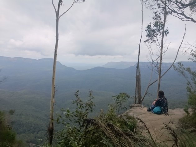 Blue Mountains National Park 