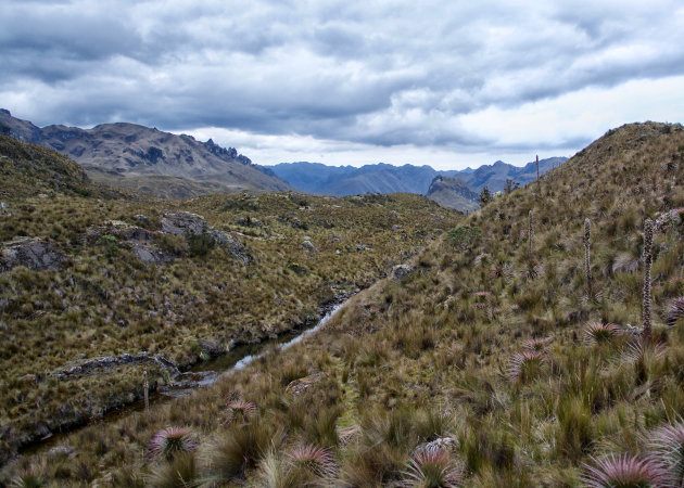 Buitenaards? Parque Nacional Cajas