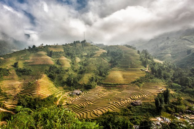 cultuurberglandschap - omgeving Sapa