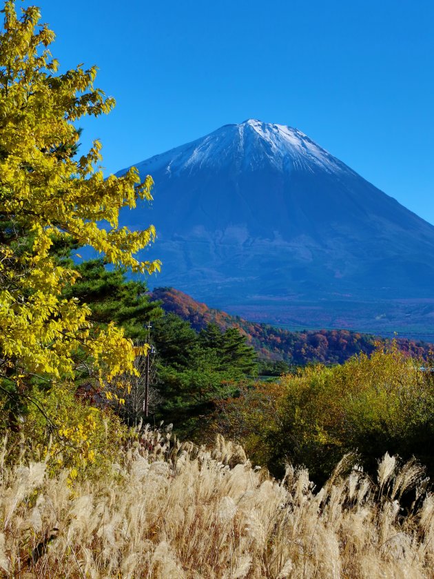 Fuji-san autumn