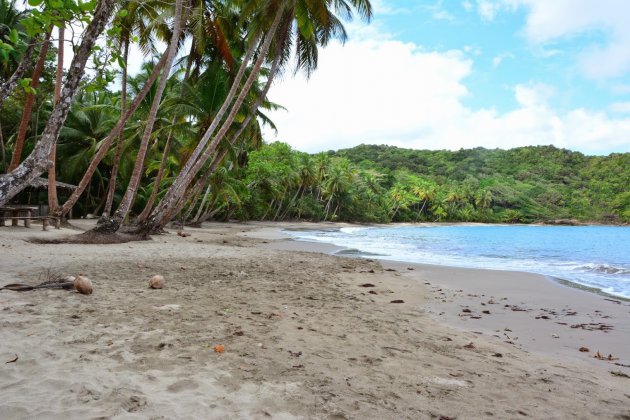 Hoezo geen Stranden op Dominica?