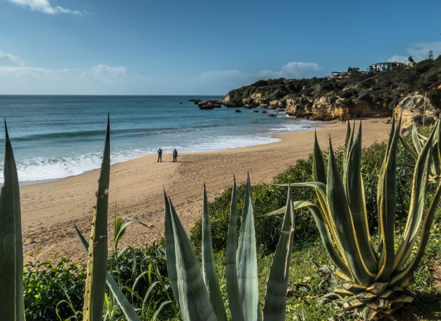 Praia do Carvoeiro