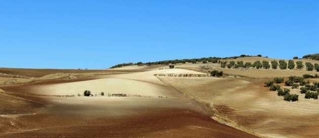 Bijzonder landschap