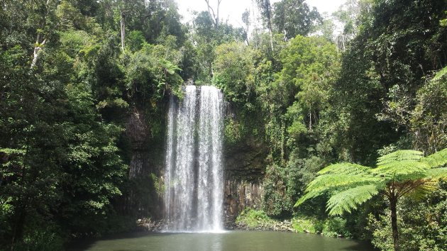 Millaa Millaa Falls