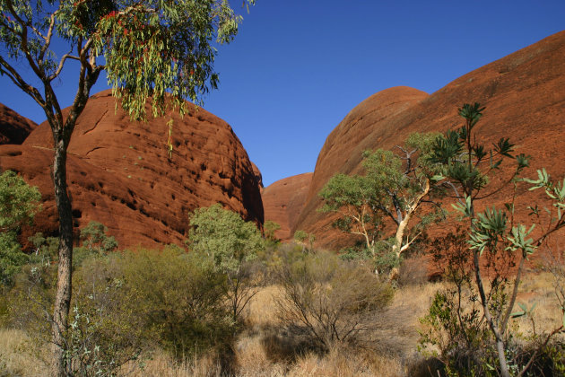 Kata Tjuta 