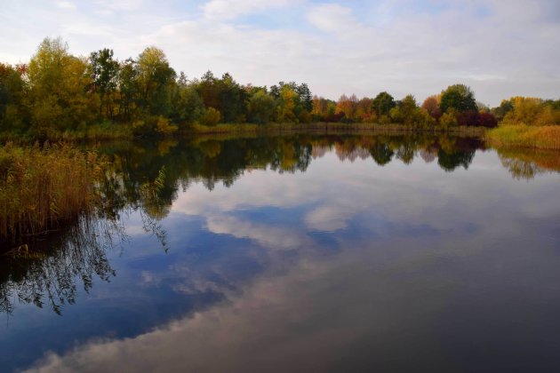 Herfst in het Natuurpark 