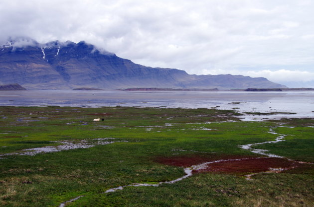 Fjordenlandschap in de Oostfjorden