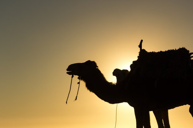 Silhouetten in Essaouira