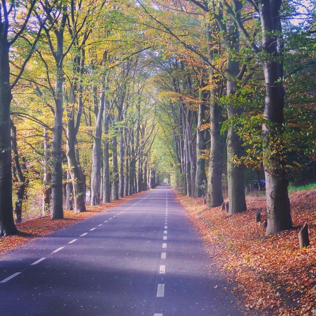 Herfstkleuren