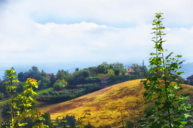 Ligurie landschap