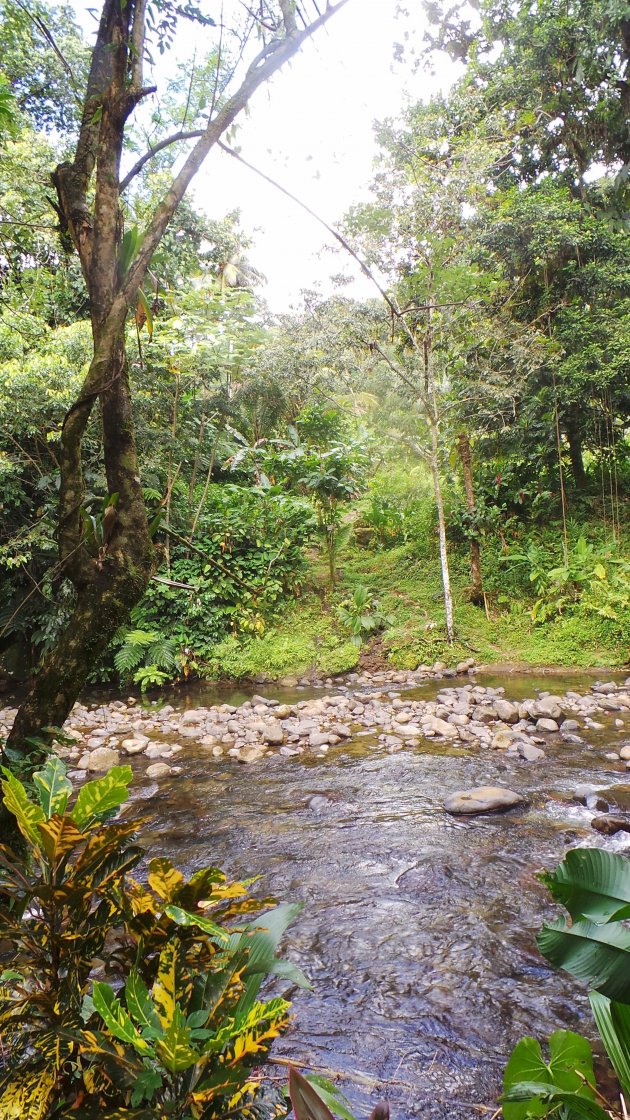 Dominica Jacko steps wandeling