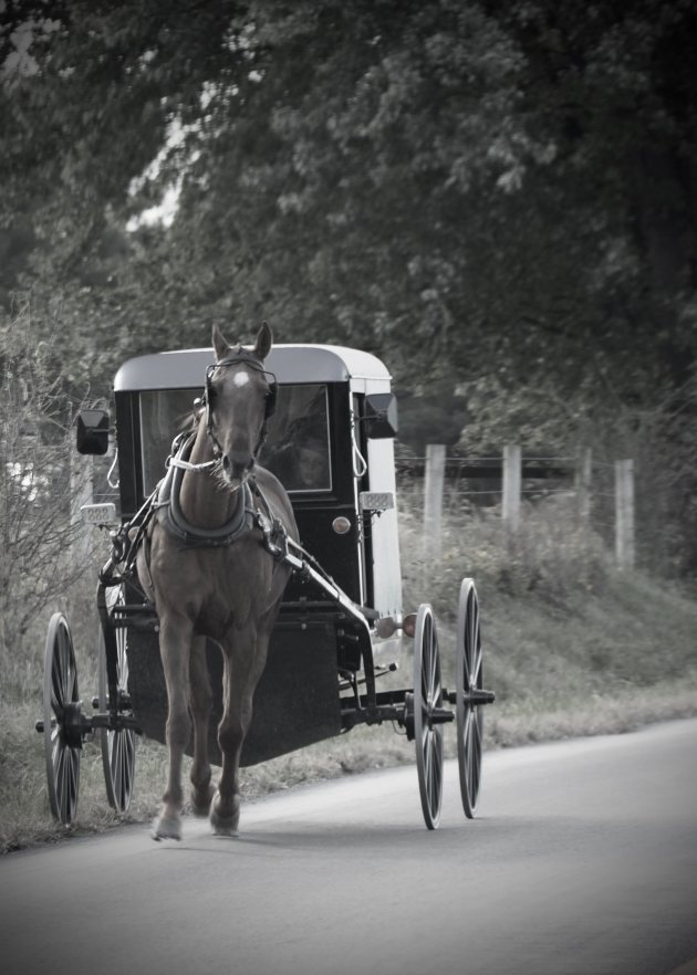 In een rijtuigie