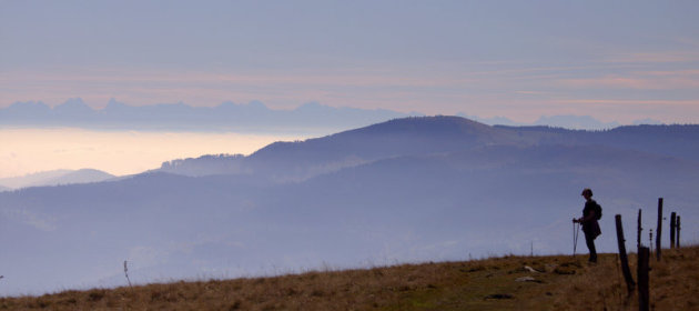 De Alpen