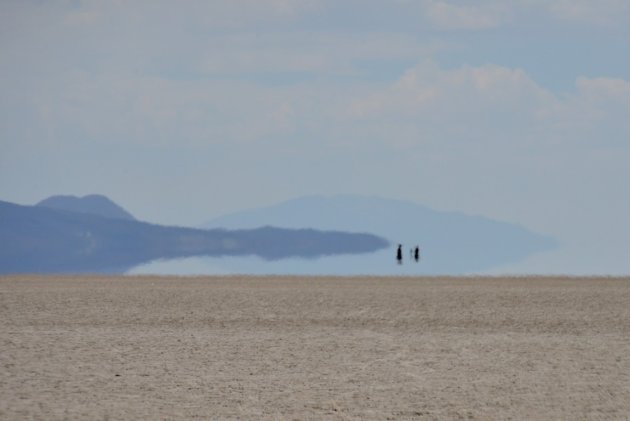 Fietsen over de Salar Coipassa