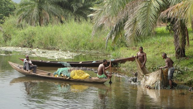 Zoetwatervis vangen in Akosombo