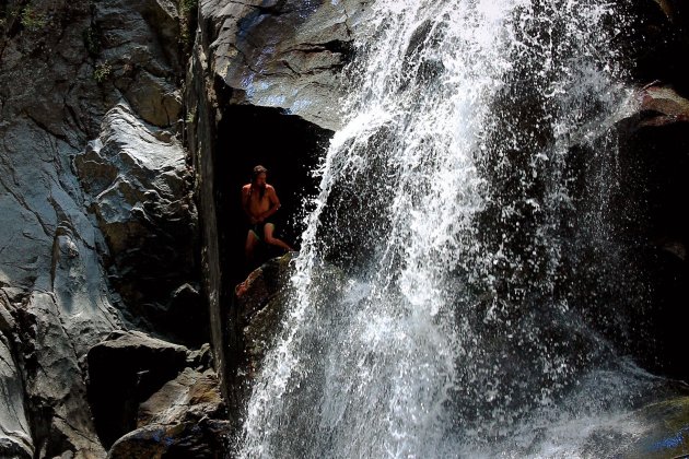 Mexicaanse Patser bij Cuale Waterval