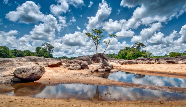 Wolkenlucht in de jungle