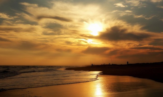 Goudgeel strand 