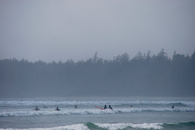 Surfen bij Long Beach