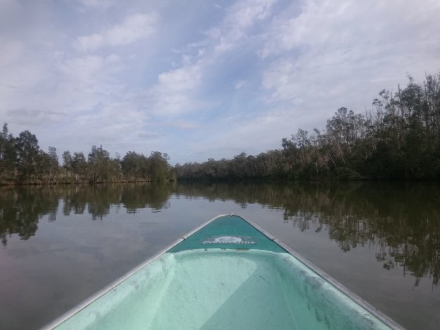 Noosa Everglades 