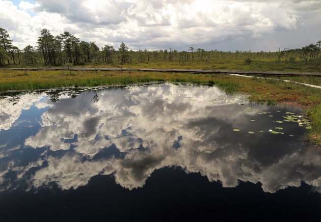 Soomaa, land van moerassen