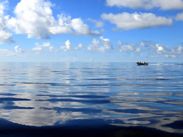 Whale watching met Terra Azul