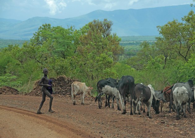 Jonge Mursi herder