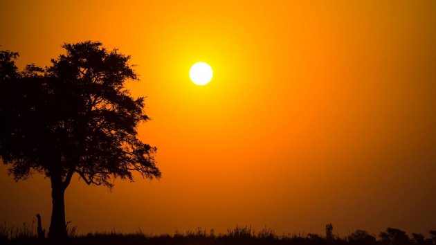 Zonsondergang Chobe River